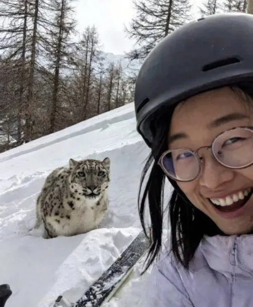 Leopardo de las nieves en China