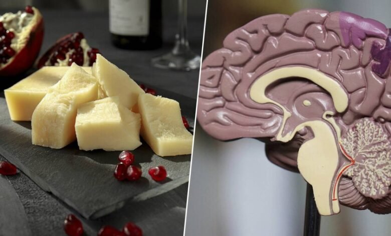 Queso curado y salud cerebral