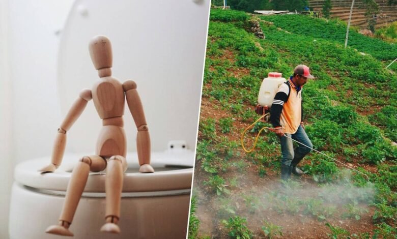 Imagen de un campo de trigo con un tractor en el fondo, simbolizando la agricultura y el uso de herbicidas como el glifosato.