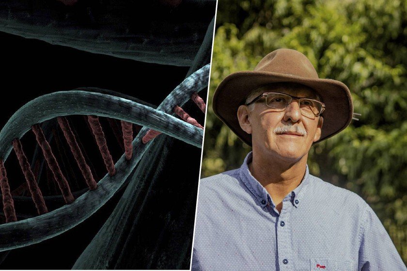 Ilustración del cromosoma Y