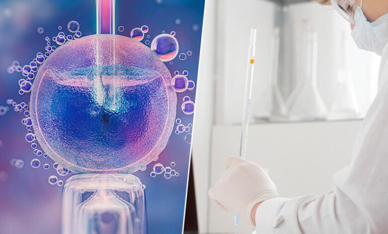 La IA en las clínicas de fertilidad