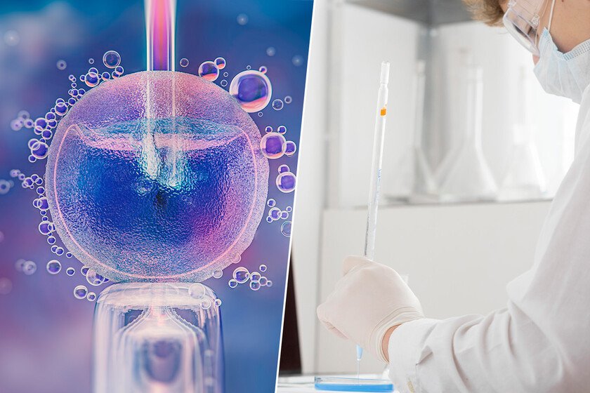 Imagen de un ovocito bajo el microscopio, representando la evaluación de su potencial