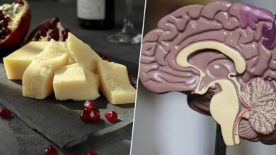 Queso curado y cerebro sano