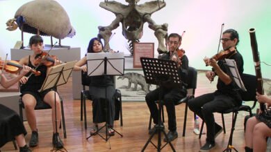 Afiche de la Semana del Cine Chino en Córdoba