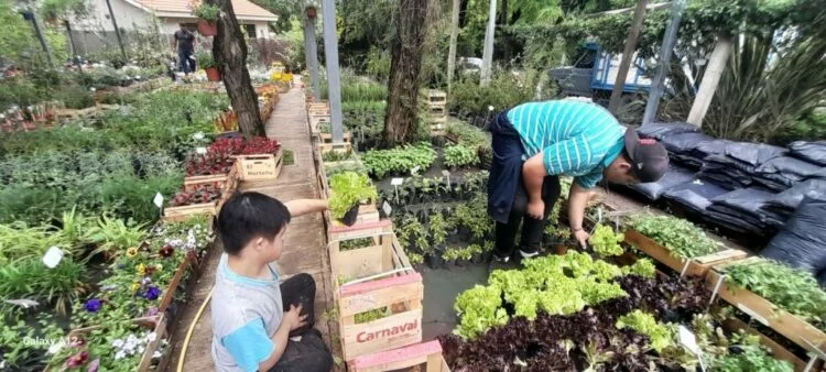 Estudiantes con discapacidad en pasantías laborales