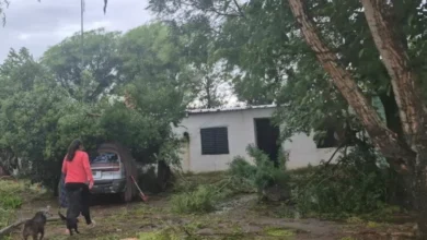 Imagen de una calle anegada en Colonia Bremen después del temporal