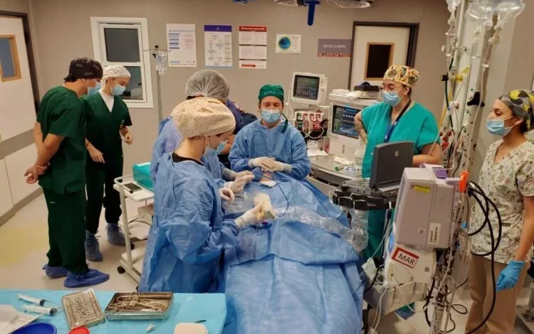 Equipo médico realizando una ablación por microondas en un hospital