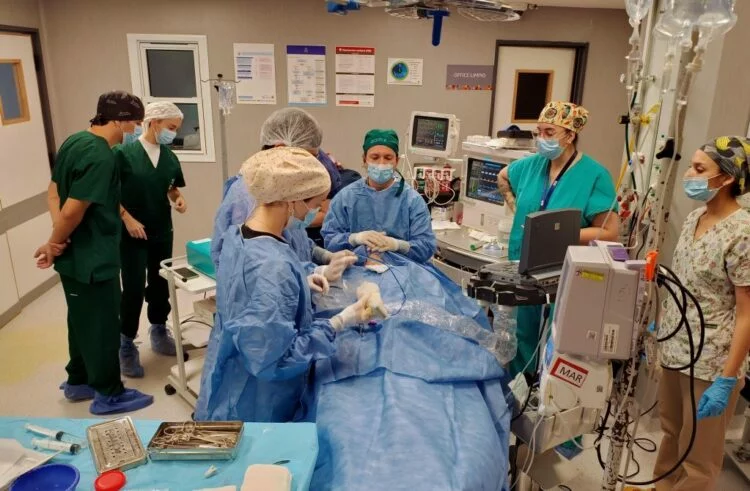 Equipo médico realizando una ablación por microondas en un hospital