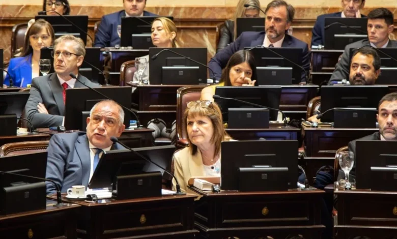 Nancy Pazos encadenada y amordazada frente al Congreso de la Nación