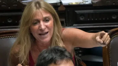 Diputada Florencia Carignano en una sesión de la Cámara de Diputados