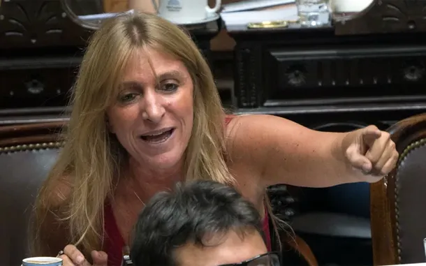 Diputada Florencia Carignano en una sesión de la Cámara de Diputados