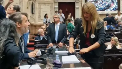 Florencia Carignano en la sesión de Diputados