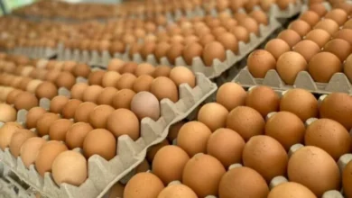 Huevos expuestos al sol en una venta ambulante