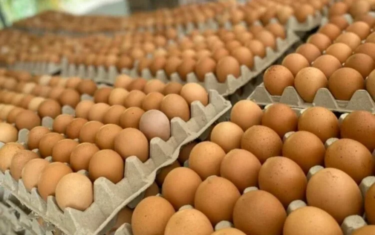 Huevos expuestos al sol en una venta ambulante