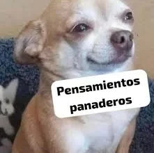 Imagen de tormentas en Córdoba con cielo nublado y lluvia