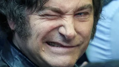 Javier Milei sonriendo tras la aprobación de iniciativas en el Senado
