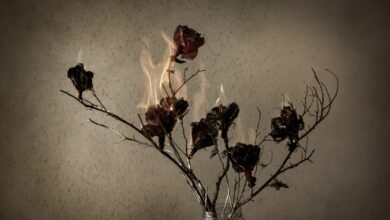 Imagen de la muestra El incendio de las flores en la fotogalería del Paseo del Buen Pastor