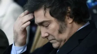 Javier Milei en una reunión de gabinete