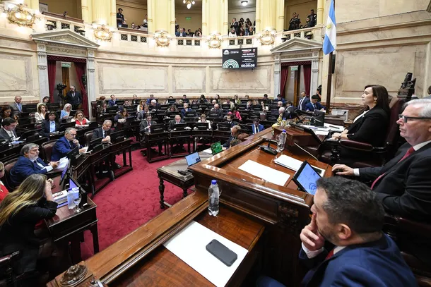 Senadores en el Congreso durante la votación del Régimen Penal Juvenil