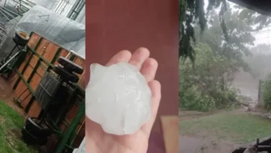 Imagen de una calle anegada y con árboles caídos después del temporal en Córdoba