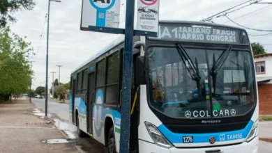 Unidad de transporte urbano en Córdoba con el logo de la empresa SiBus