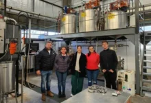 Imagen de un árbol de brea en el bosque nativo