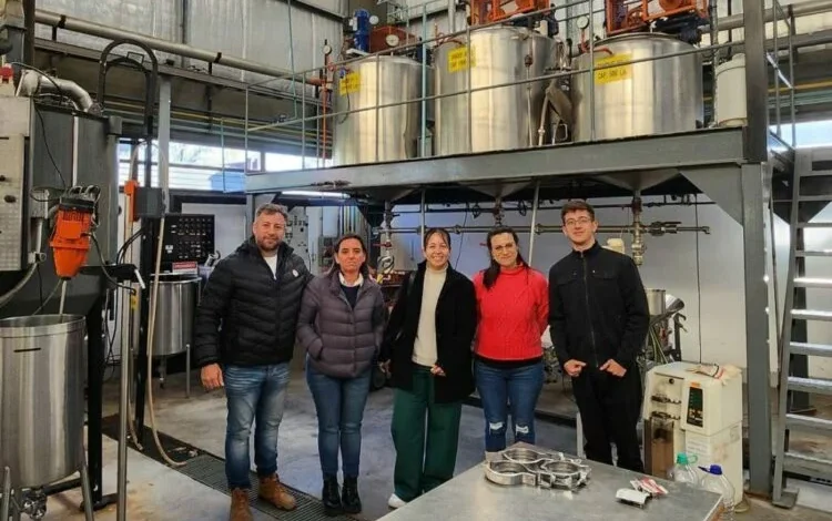 Imagen de un árbol de brea en el bosque nativo