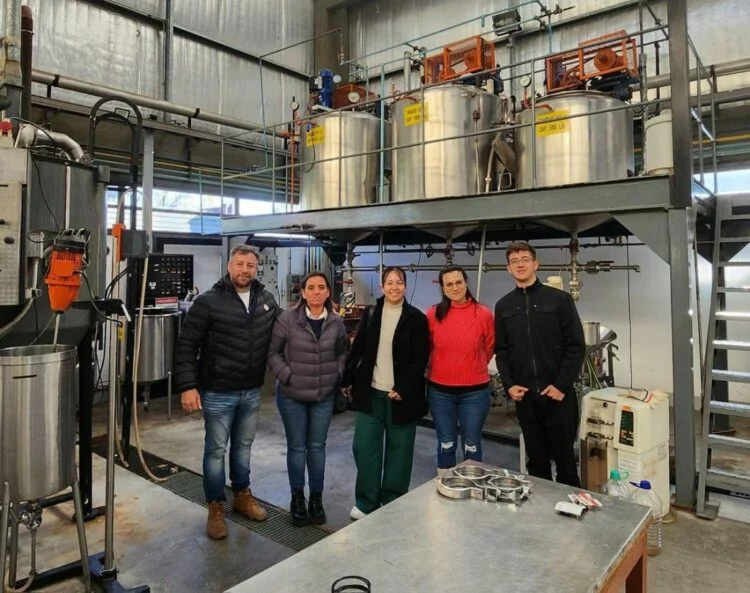 Imagen de un árbol de brea en el bosque nativo