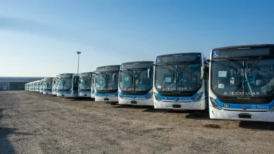 Imagen de un autobús de transporte urbano en Córdoba