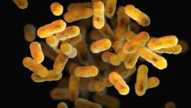 Bacterias resistentes a los antibióticos