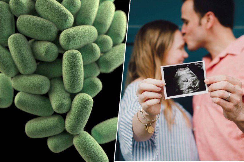 Ilustración de la microbiota intestinal y su relación con la fertilidad