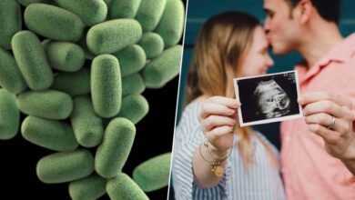 Fertilidad Microbiota