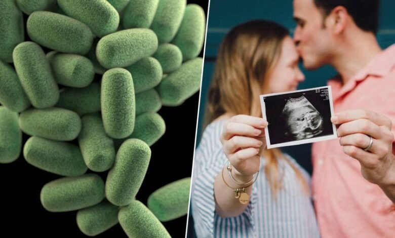 Fertilidad Microbiota