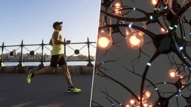 Persona corriendo en un parque con un cerebro iluminado