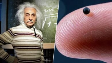 Ilustración de microrrobots en un laberinto