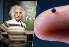 Ilustración de un microrrobot moviéndose a través de un espacio-tiempo curvado