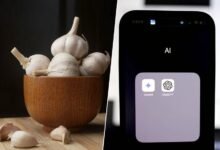 La IA se deja engañar con bulos médicos