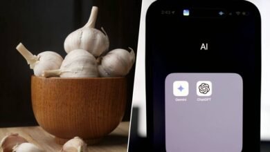 La IA se deja engañar con bulos médicos