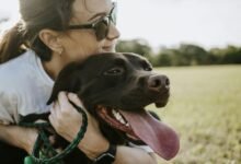 Una perra sana jugando en un parque