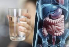 Ilustración de un estómago saludable con agua y alimentos