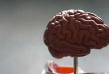 Imagen del cerebro con actividad neuronal