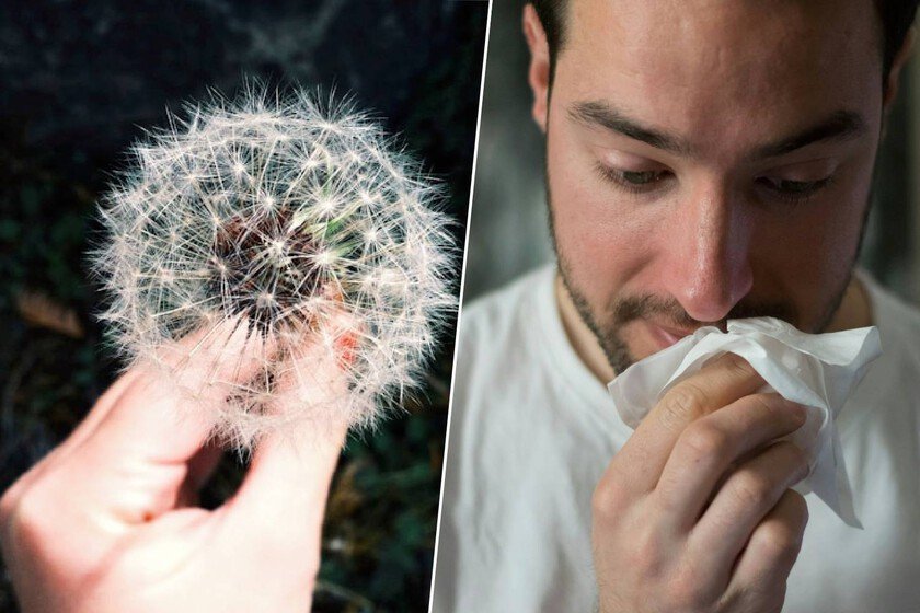 Imagen de una persona con mascarilla antiguo polen en un parque