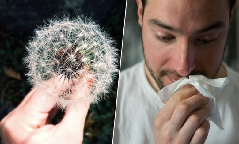 La tormenta perfecta: lluvias y calor alargan la temporada de alergias en España