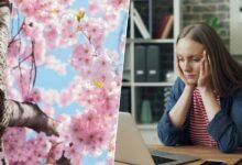 Imagen de una persona cansada en un parque durante la primavera