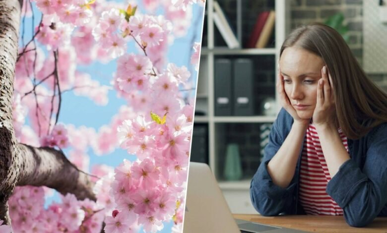 Imagen de una persona cansada en un parque durante la primavera