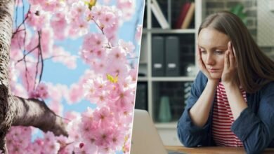 Imagen de una persona cansada en un parque durante la primavera
