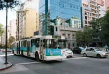Imagen del festival La Piojera resiste con memoria en la avenida Colón de Córdoba