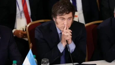 Gráfica de la aprobación de Milei en caída