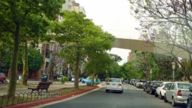 Corredores en una carrera de una milla en Ciudad Universitaria