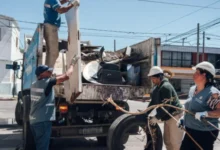 Imagen de un mosquito Aedes aegypti, transmisor del dengue